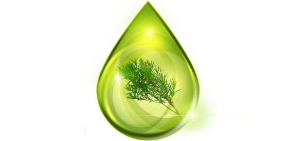 text-with-image-background-template--15594349199445__text_with_image_background_RbtJmj